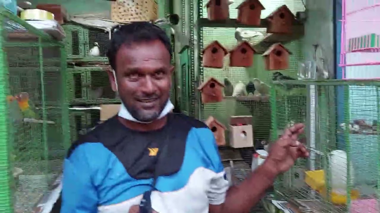 The Pet Shops at Grandpass, Colombo 14