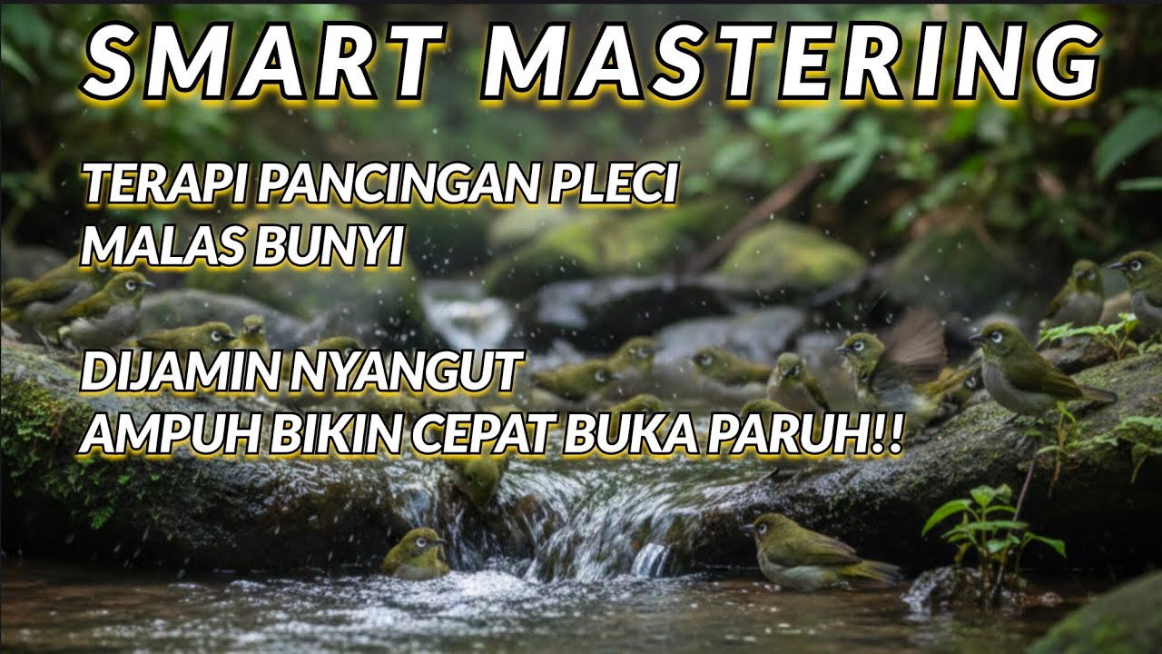 AMPUH BIKIN CEPAT PLECI BUKA PARUH: Smart Mastering Pleci Bikin Pleci Bukpar Dan Emosi