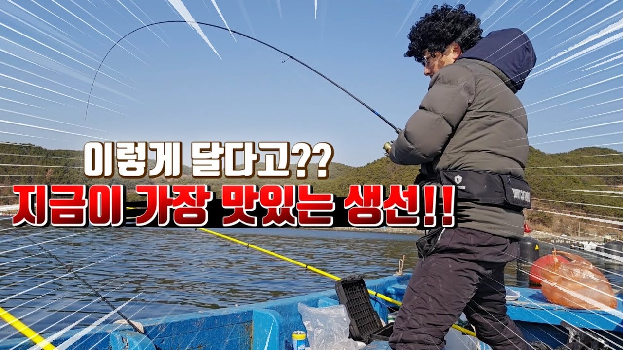 봄이 오기전 가장 맛있는 서울말쓰는 감성돔을 직접 잡아서 다양하게 즐겨보자!