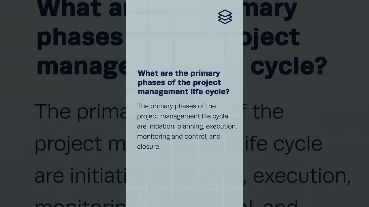 What are the primary phases of the project management life cycle?