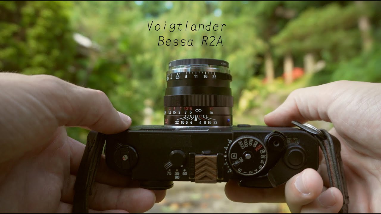 Japanese family garden | Bessa R2A + Kodak Ultramax