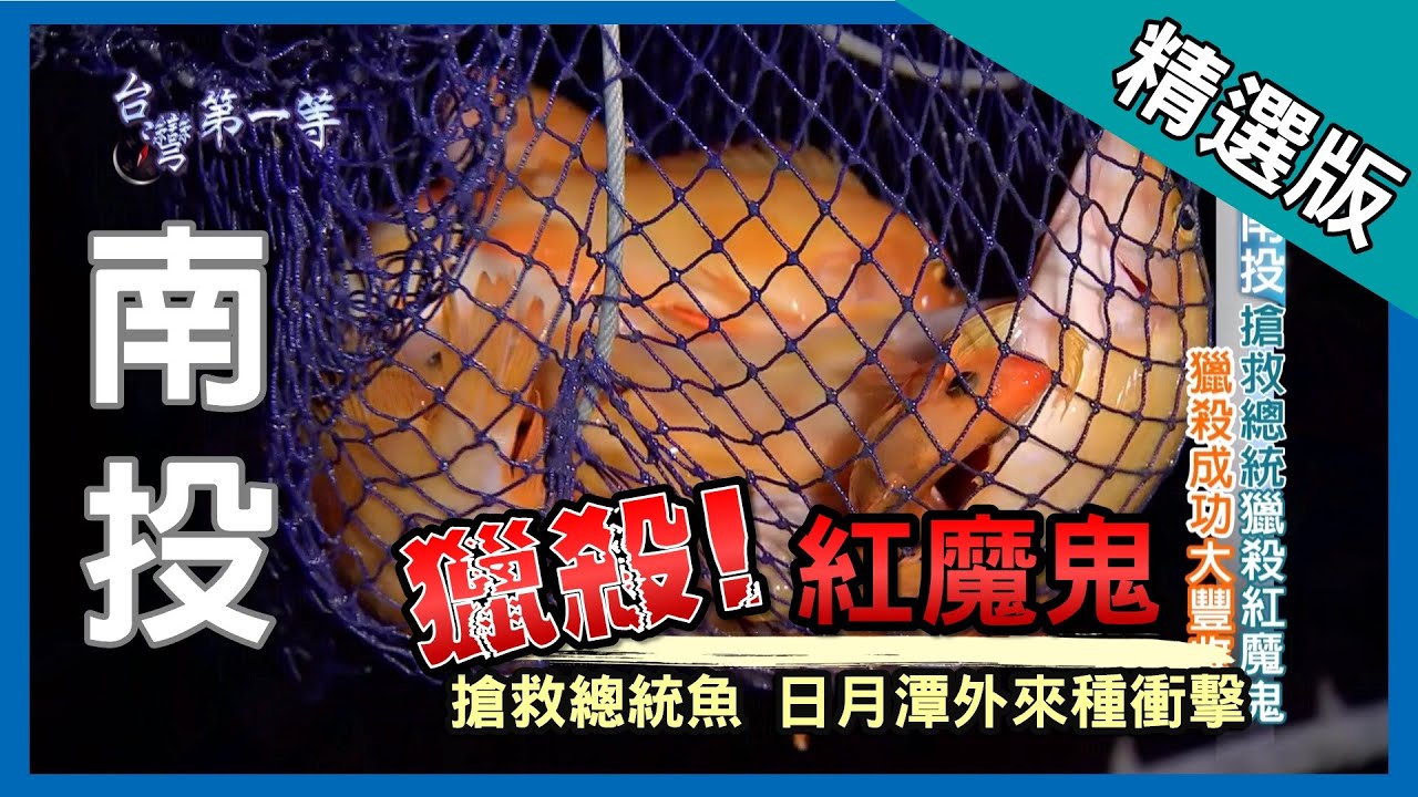 台灣第一等【搶救總統魚 獵殺紅魔鬼】南投日月潭 _精選版