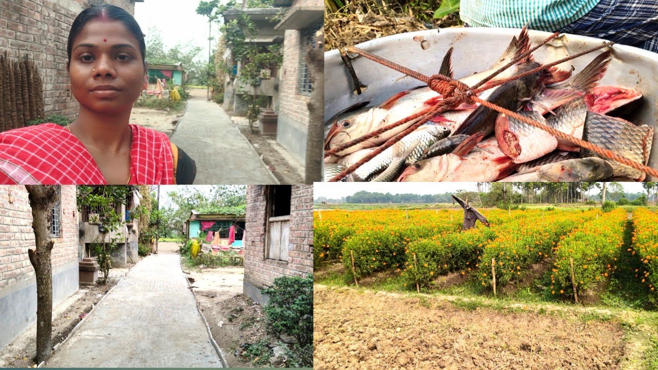 ভেবেই পারছিনা আজকে কি মাছ নেব লাস্টে নিলাম রুই মাছ।।
