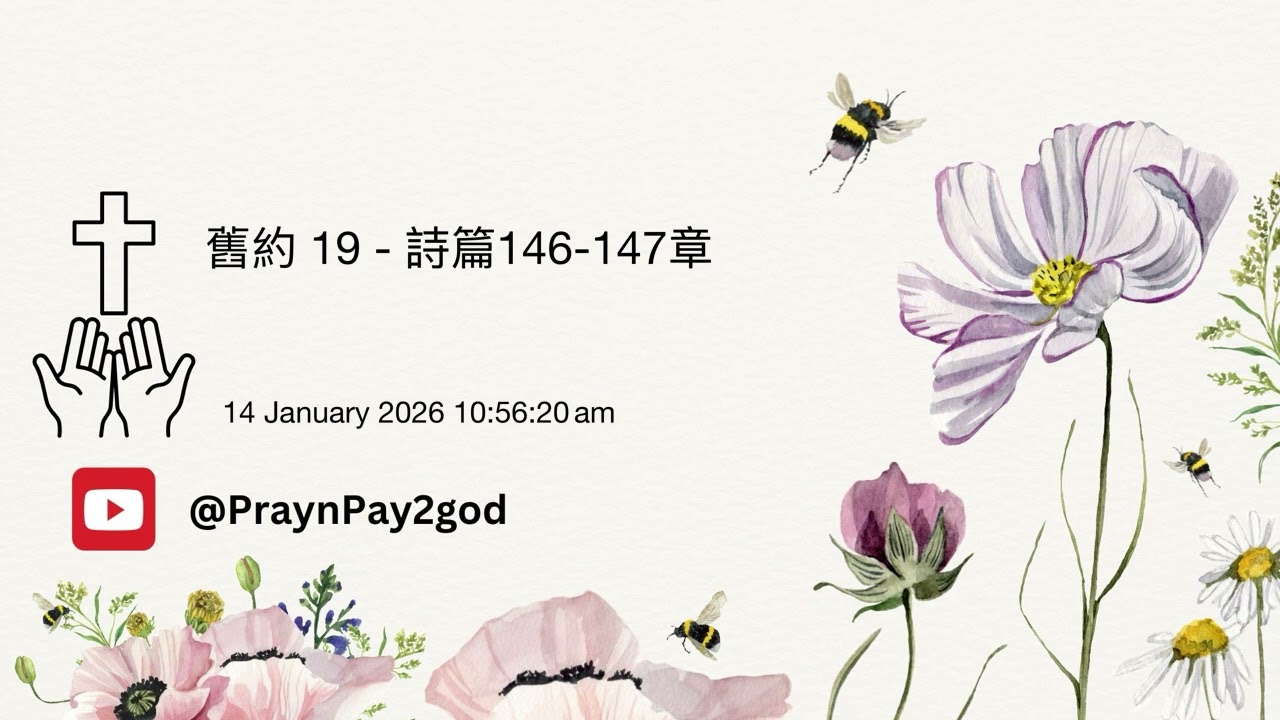 舊約 - 詩篇 146-147章