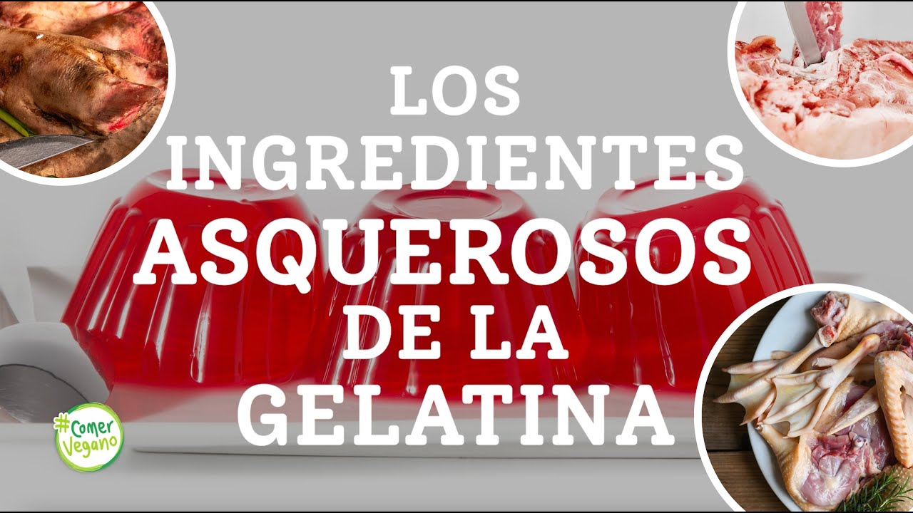 LOS INGREDIENTES ASQUEROSOS DE LA GELATINA | Parece limpia y saludable pero es todo lo contrario...
