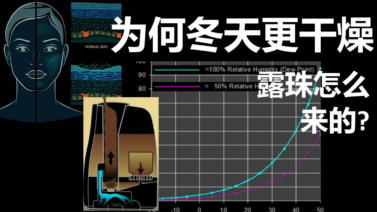 湿度如何影响健康？  加湿器的工作原理？露点温度什么意思？