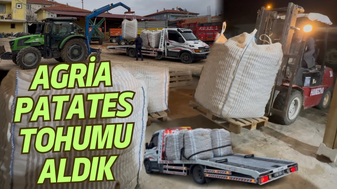AGRİA PATATES TOHUMU ALDIK~FİYATLAR NASIL?