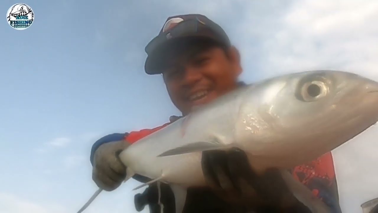 how powerful this fish | kayak fishing | Qatar fishing #kayaking #kayakfishing #fishing ‎@qtrfish