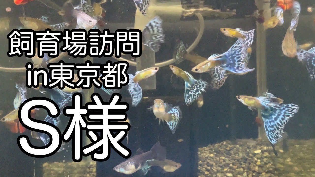2022.10.09 飼育場訪問in東京都 S様