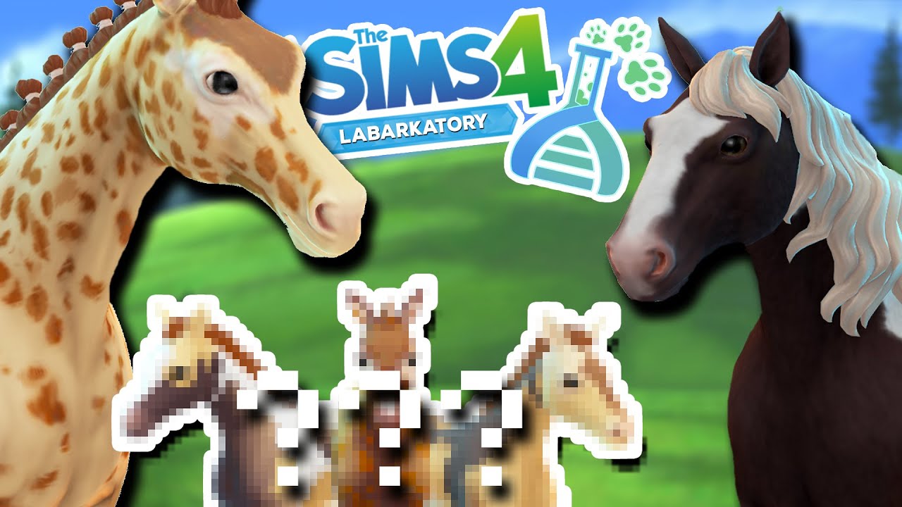 Crossing-Breeding a GIRAFFE x IRISH COB?! 🦒💕🧬🐴