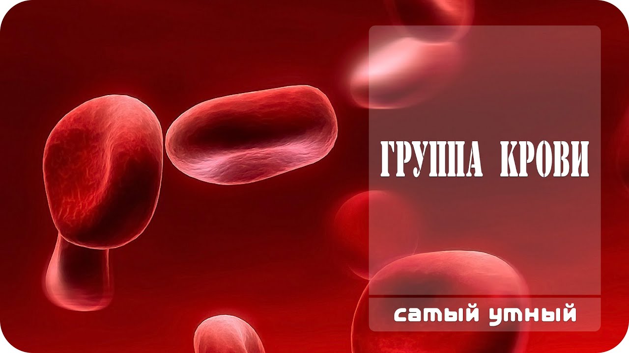 Что такое группа крови