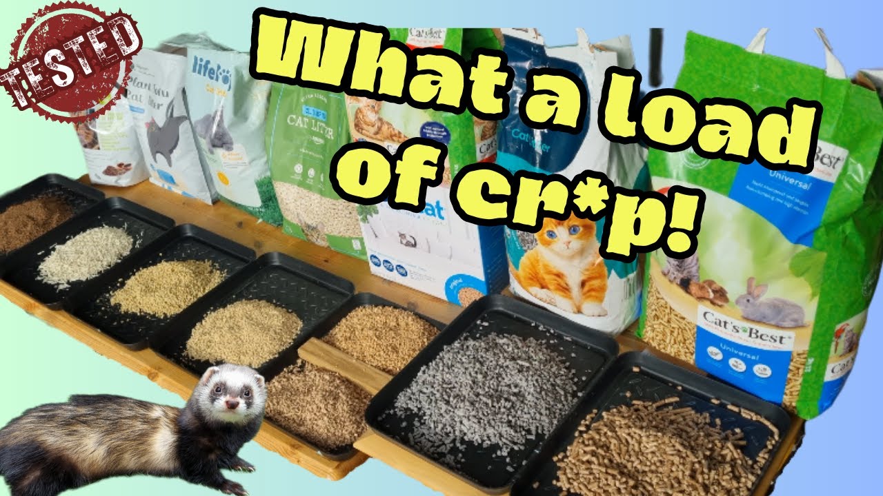 Ultimate Ferret Litter Showdown - 8 Products Tested!