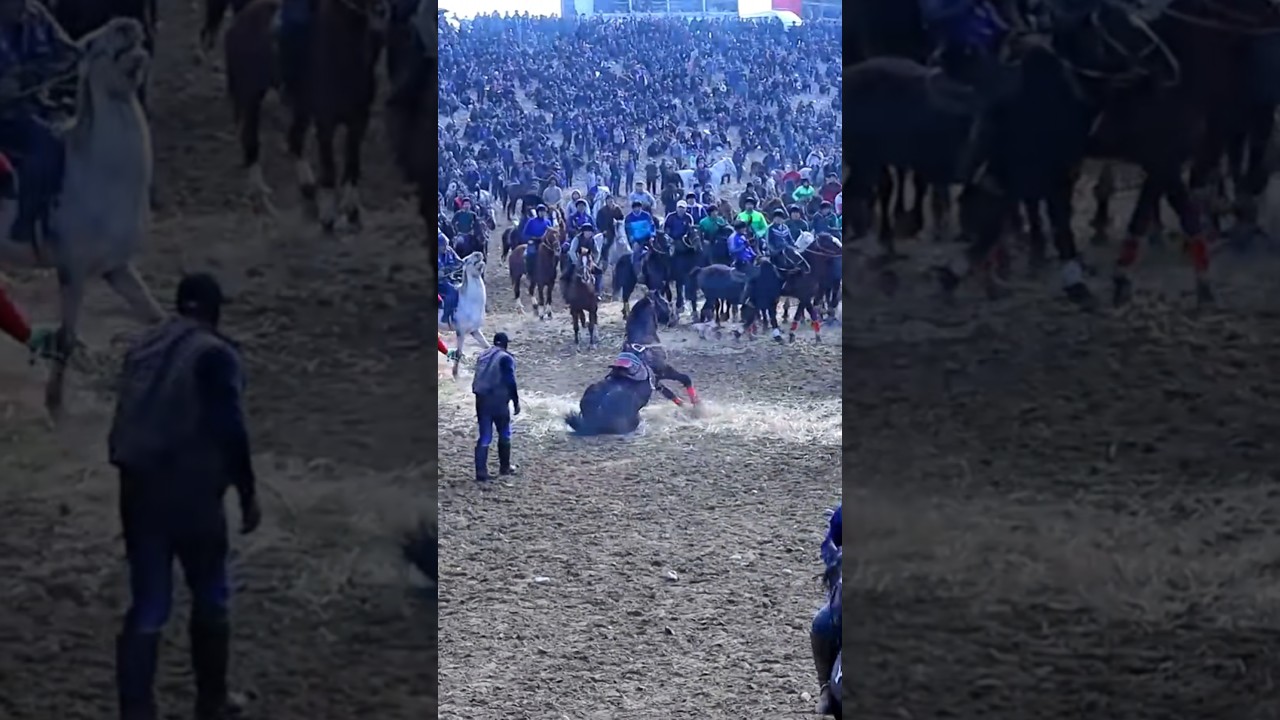 #uloq