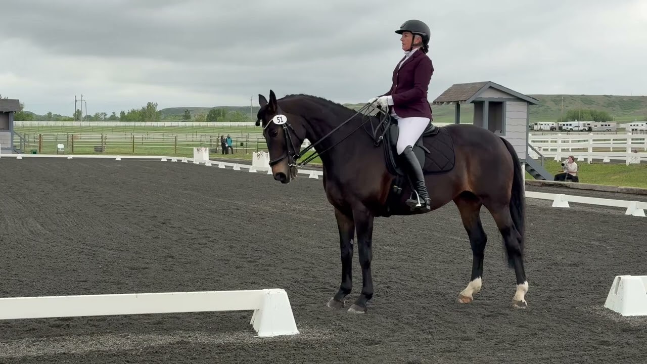 USDF Third Level Test 1