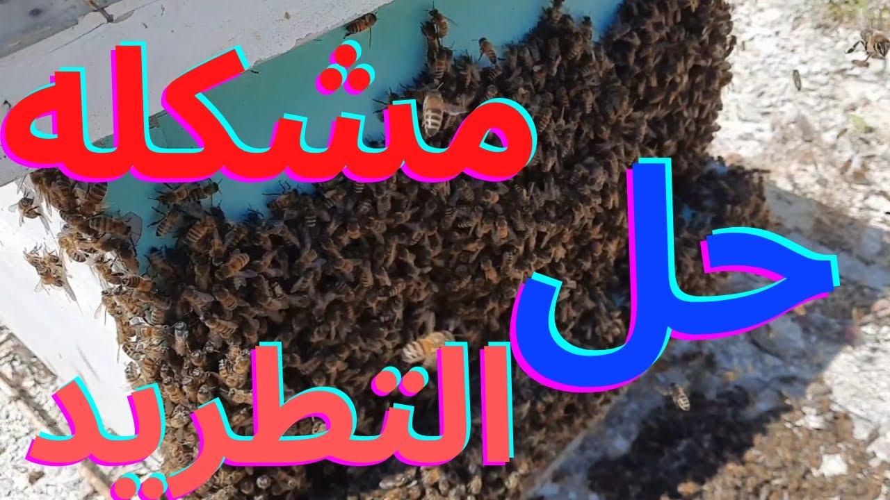 10 خطوات تحد من التطريد او تمنعه