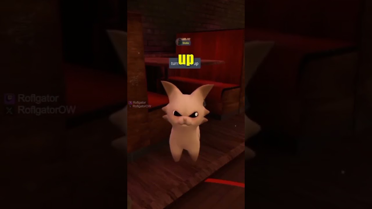 EEAAOO CATT VRchat