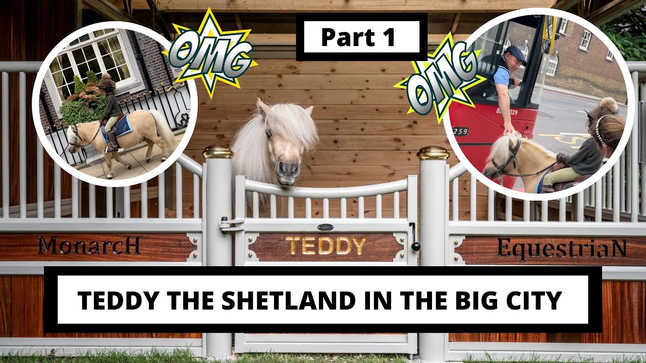 TEDDY THE SHETLAND IN THE BIG CITY ~ INCREDIBLE Monarch Equestrian stable and GALLOPING in Hyde Park