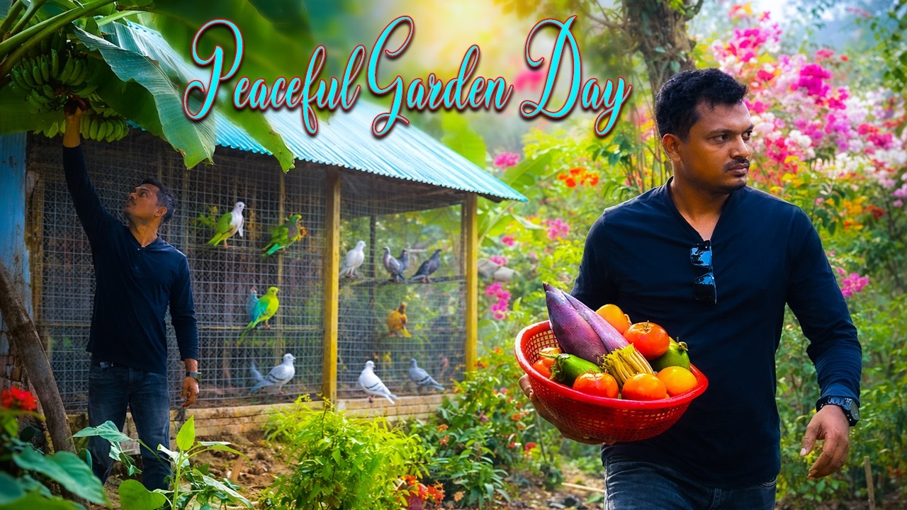 A Peaceful Day Hidden in My Little Garden - বাগান থেকে তাজা সবজি সংগ্রহ