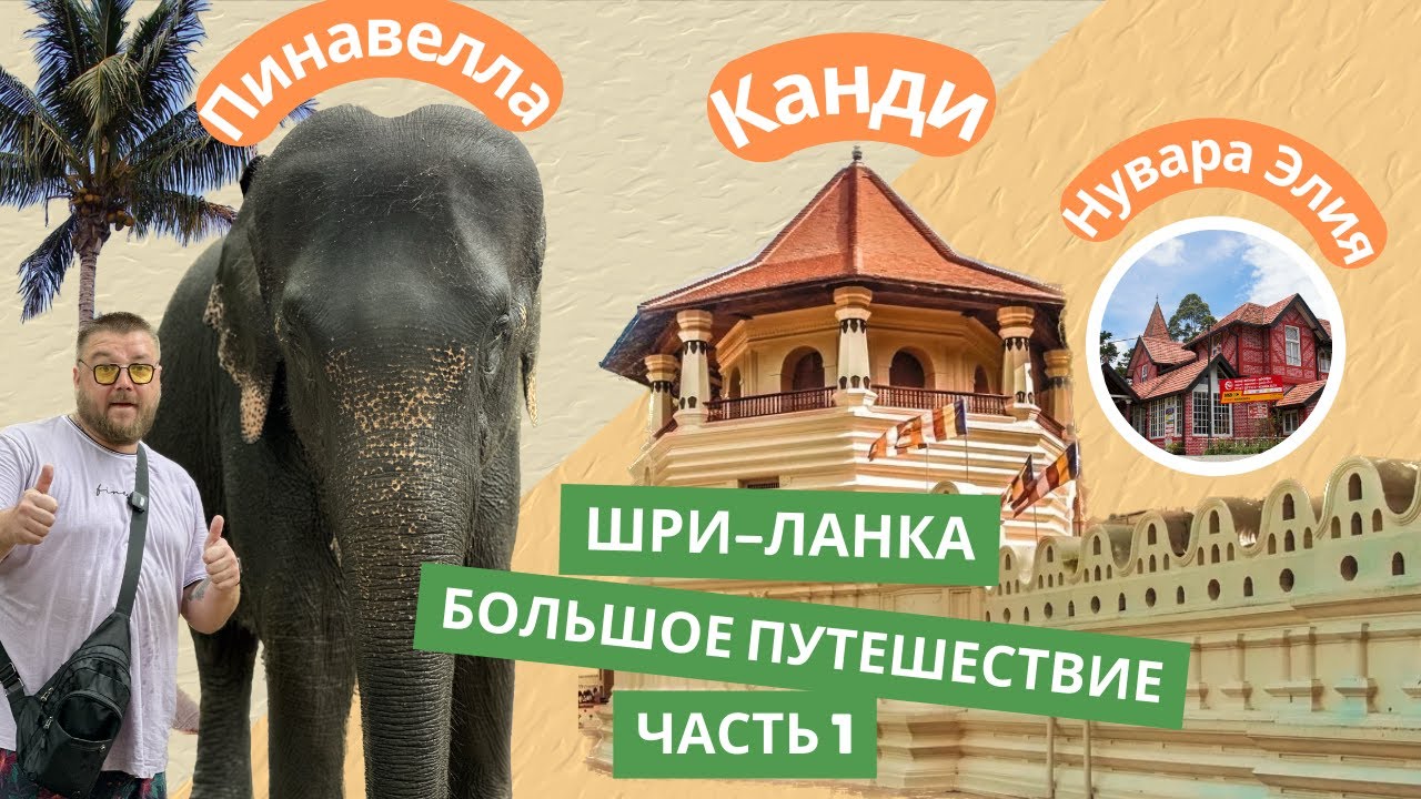 Шри-Ланка. Большое путешествие. Часть 1 Пинавелла. Канди. Нувара Элия.