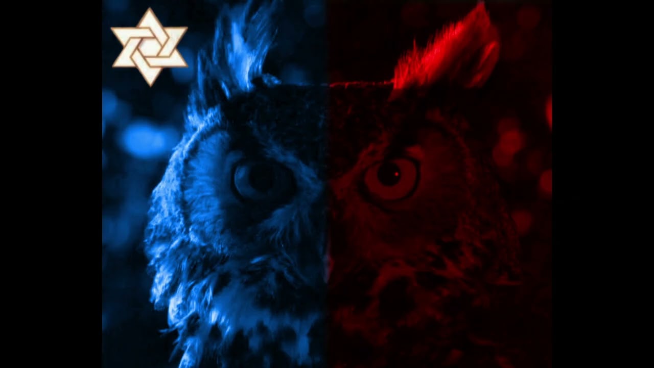 Inland Empire - An owl calls you, asks you to sit under her tree and she will tell you her dreams