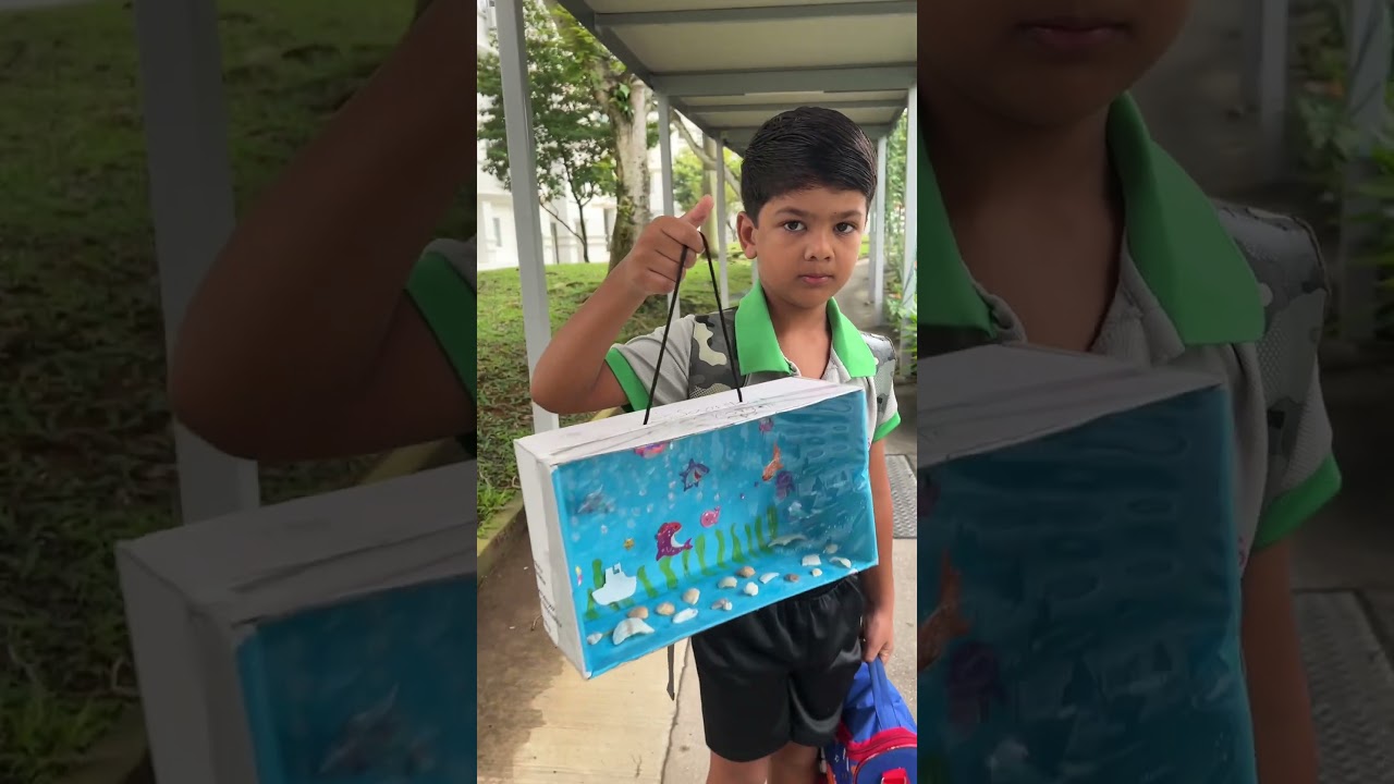 Fish 🐠 Tank #singapore #schoollife #project #fishtank #fish #kidsvideo #childhood #life #study