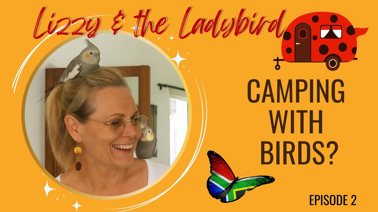 Rehoming My Birds 💔 The Hardest Part of Preparing for Caravan Life | Lizzy & the Ladybird”