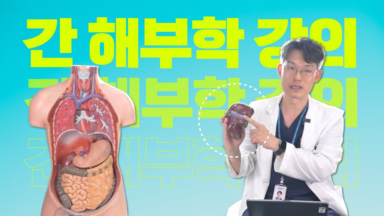 (EP110) 간 해부학, 간 어떻게 생겼니? | 간톡 (Liver Talk) |  서울대병원 간담췌외과 최영록 교수