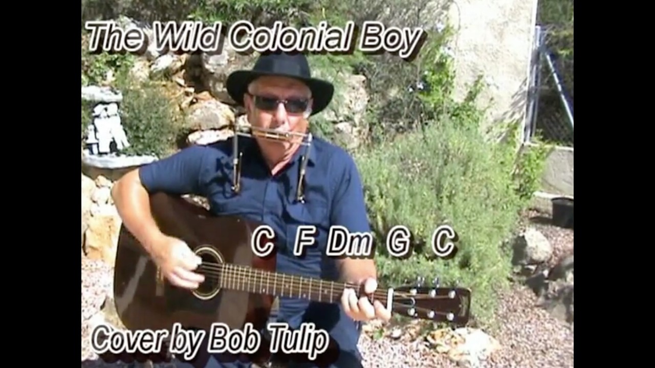 THE WILD COLONIAL BOY - Lyrics with Chords On-screen + Harmonica