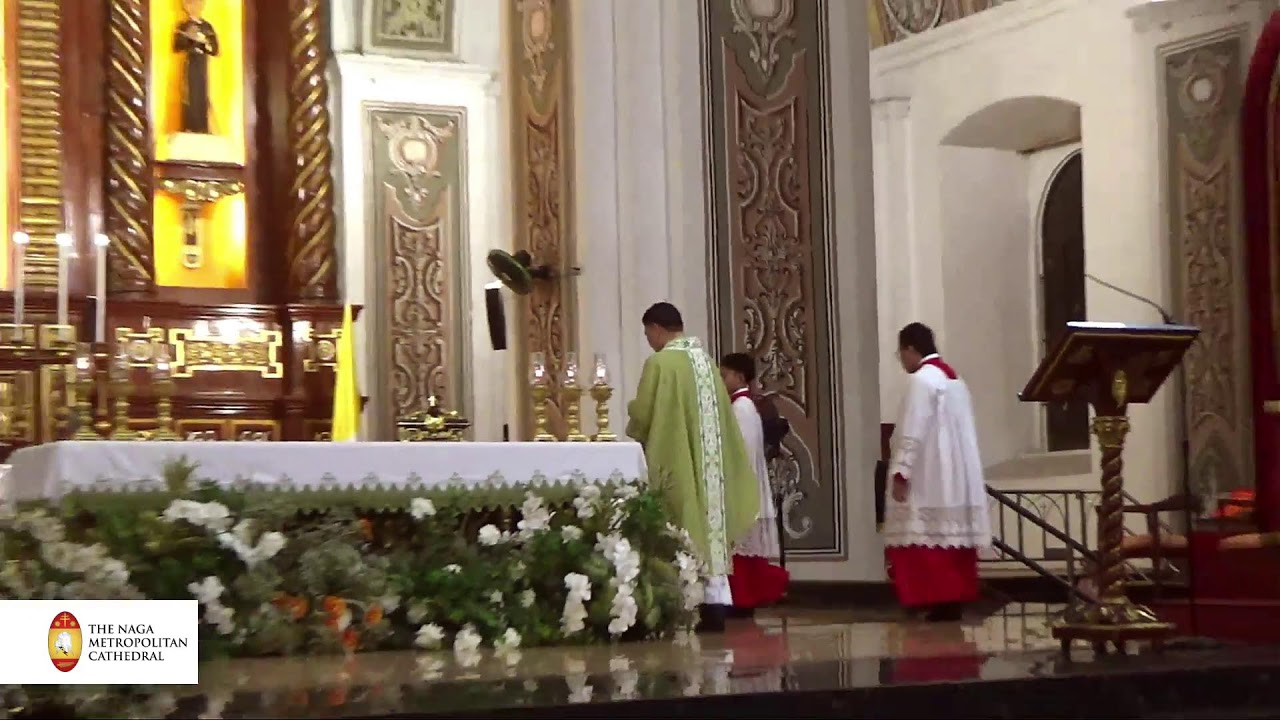 Fifth Sunday of Ordinary Time (08 February 2026)