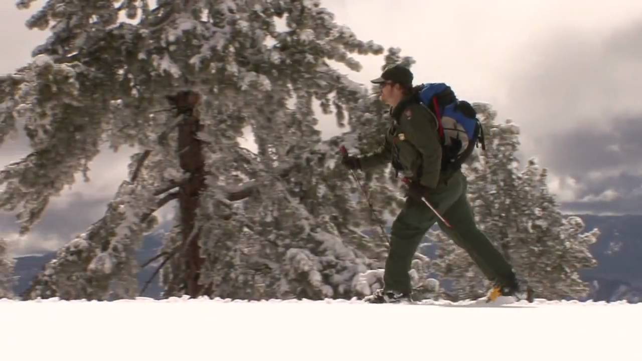 Yosemite Nature Notes - 5 - Snow