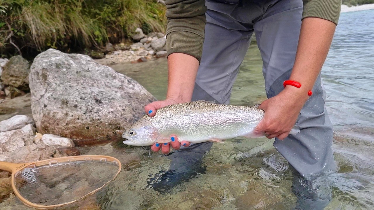 Soča River Fly Fishing (Slovenia) | My First Trout in Emerald Waters