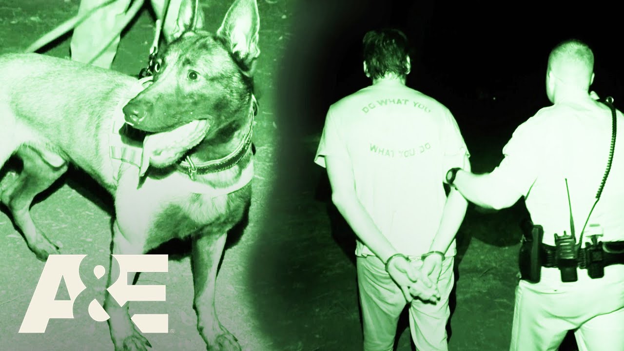 Live PD: K9 Patrol - K-9 Leads Officers to Man Hiding in Nearby House After Fleeing Police | A&E