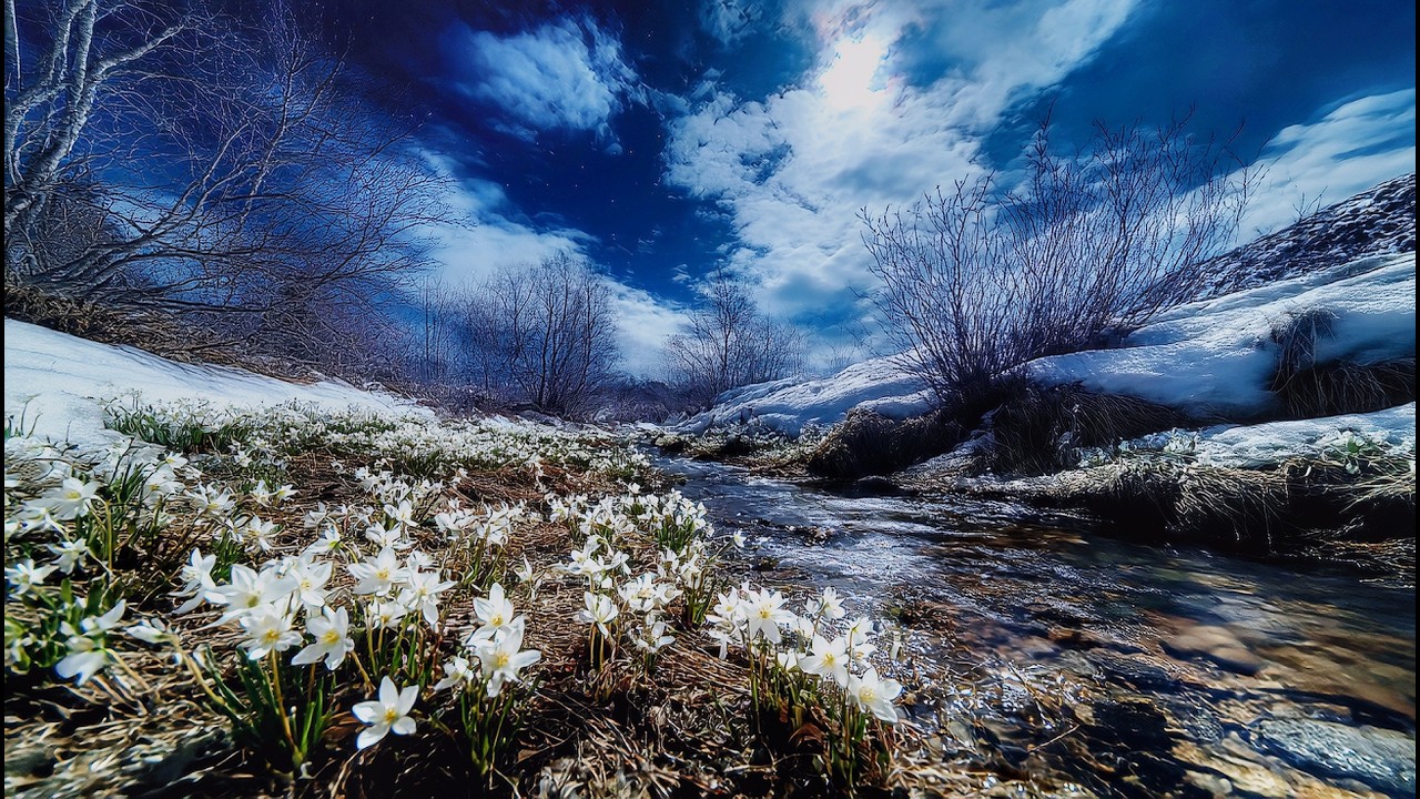 First Whispers of Spring 🌸 Deep Sleep Music & Gentle Stream Sounds