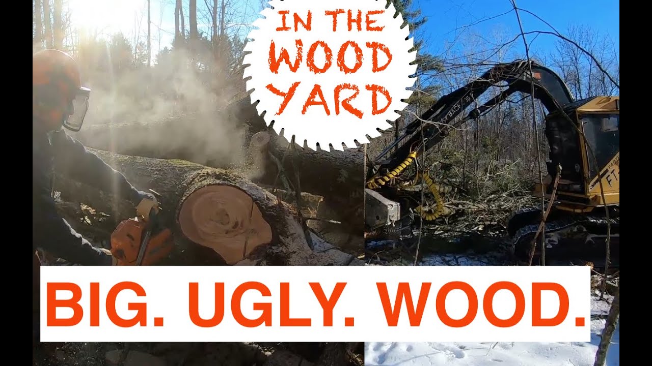 Logging some BIG UGLY wood with Husqvarna 395XP/372XP