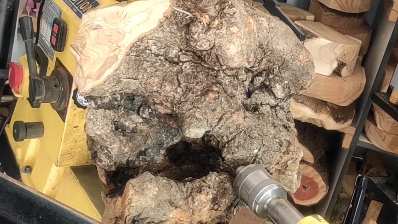 wood turning an ugly olive root in a bowl that looks like a 