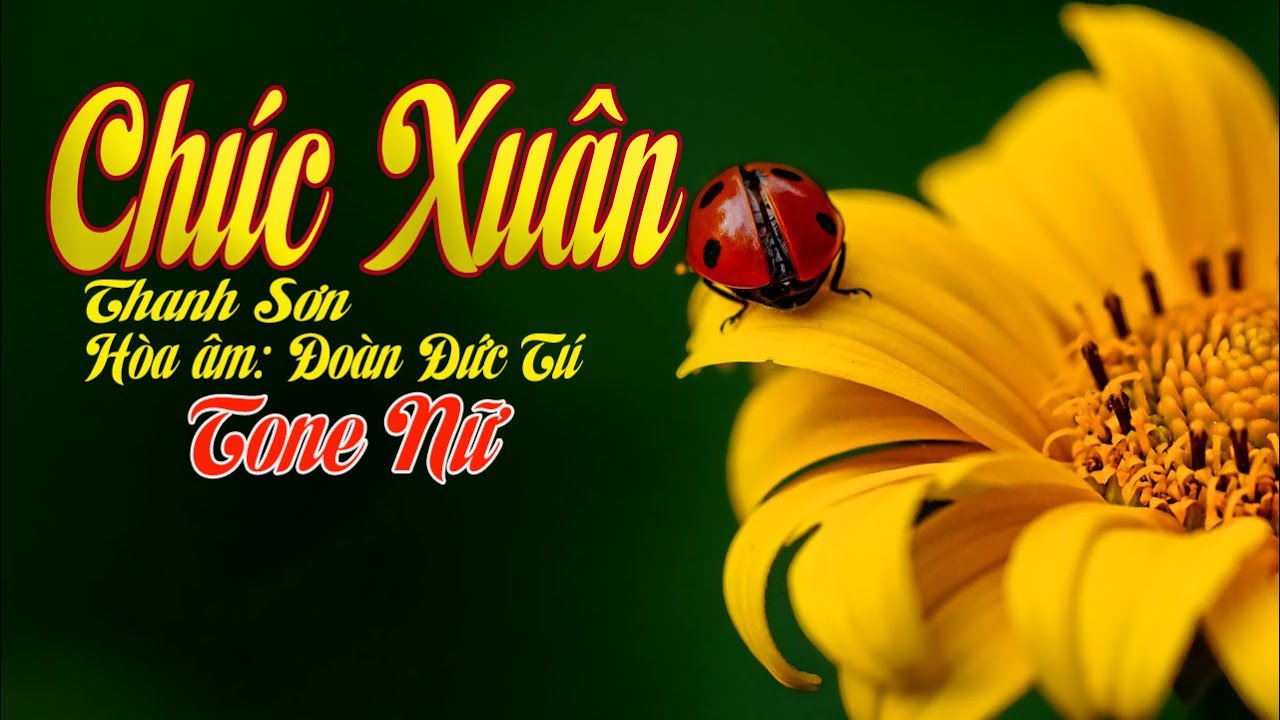 karaoke Chúc Xuân |tone Nữ|