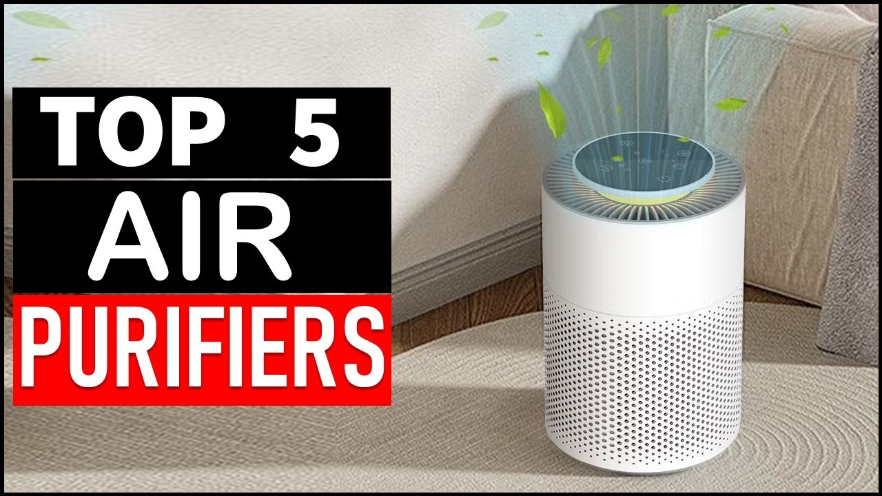 Top 5 Best Air Purifiers in 2026