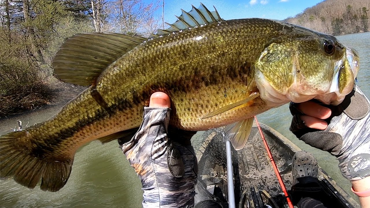 The Final Days of March Chatterbait Fishing! - (Spring Bass Fishing)