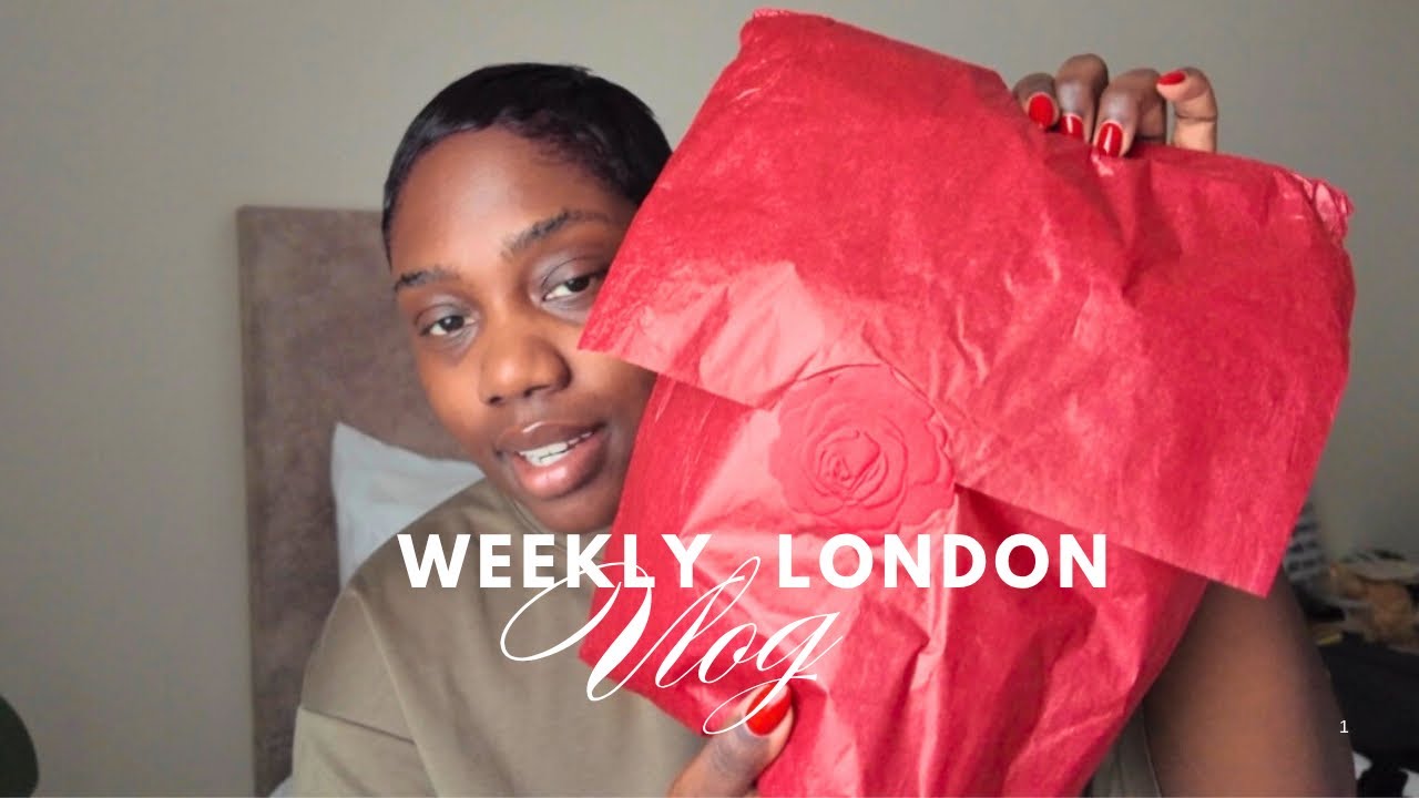 weekly vlog - magda butrym x H&M haul, fufu party + more | janeandjhane vlogs