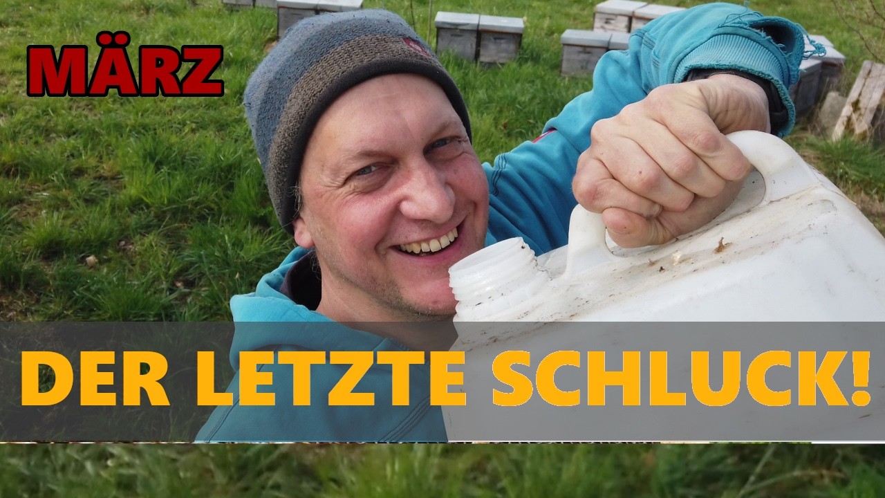 Bienenstand im M&auml;rz &ndash; letzte Futterkontrolle (hoffentlich!) | Imkerei Goldbl&uuml;te