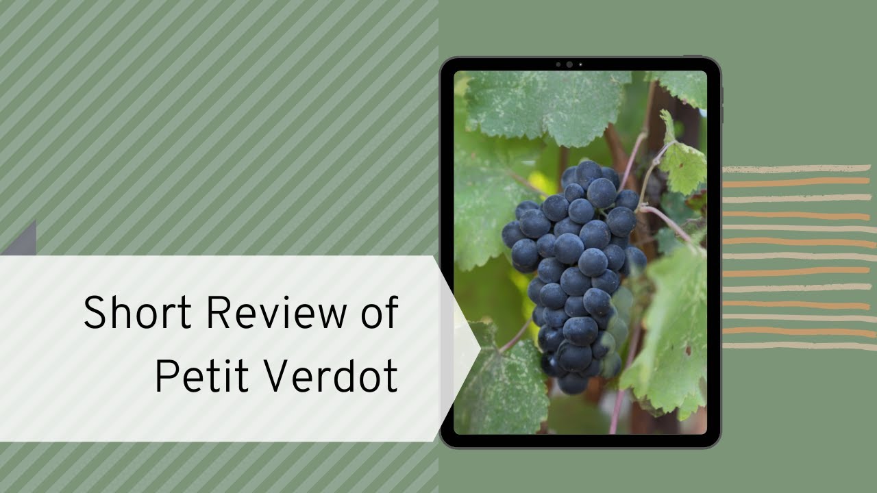 Review of Petit Verdot Wine