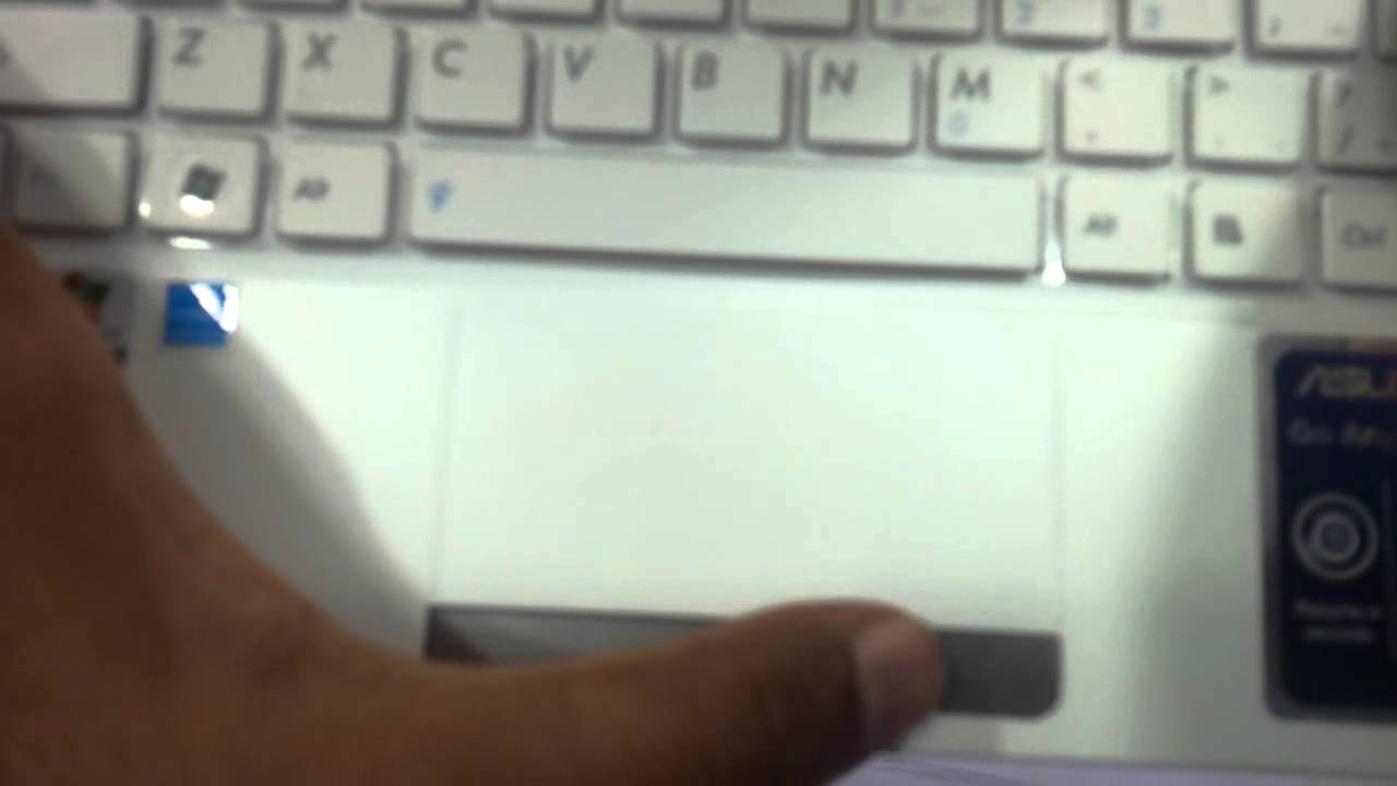 asus eepc r051cx 1015cx white seashell white netbook 10.1 pinetrail white
