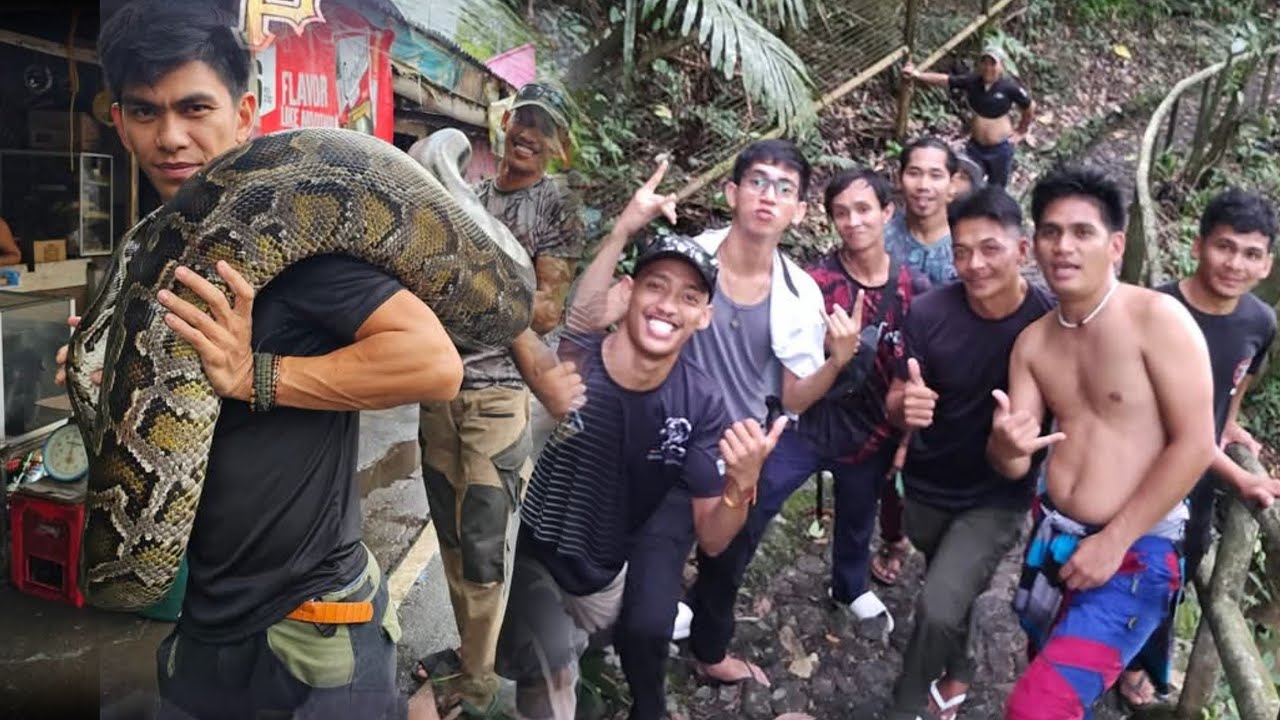 COBRA PRINCE AVENGERS  OLD BUT GOLD  VIDEO COMPILATION.#cobraprince