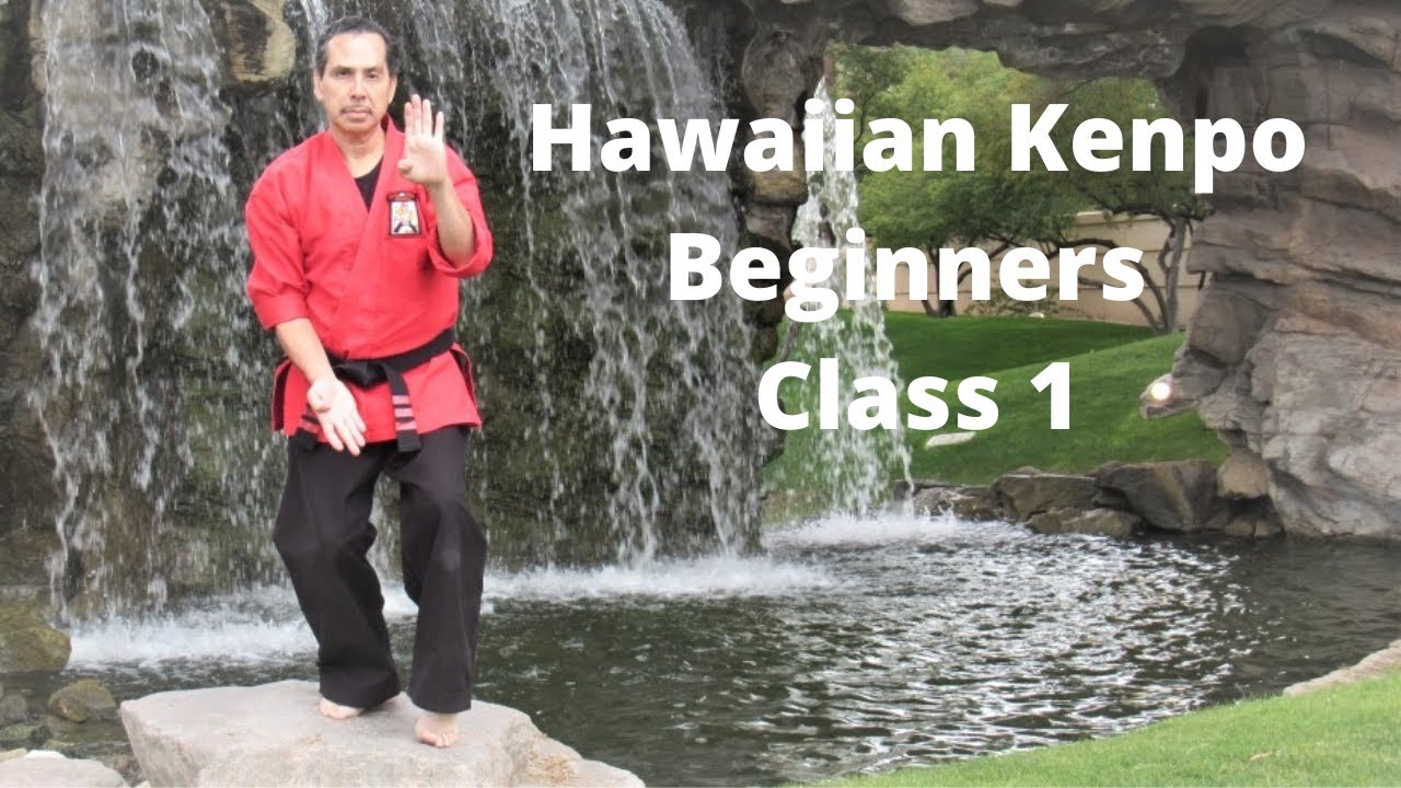 Learn Hawaiian Kenpo Karate - Beginners Class 1