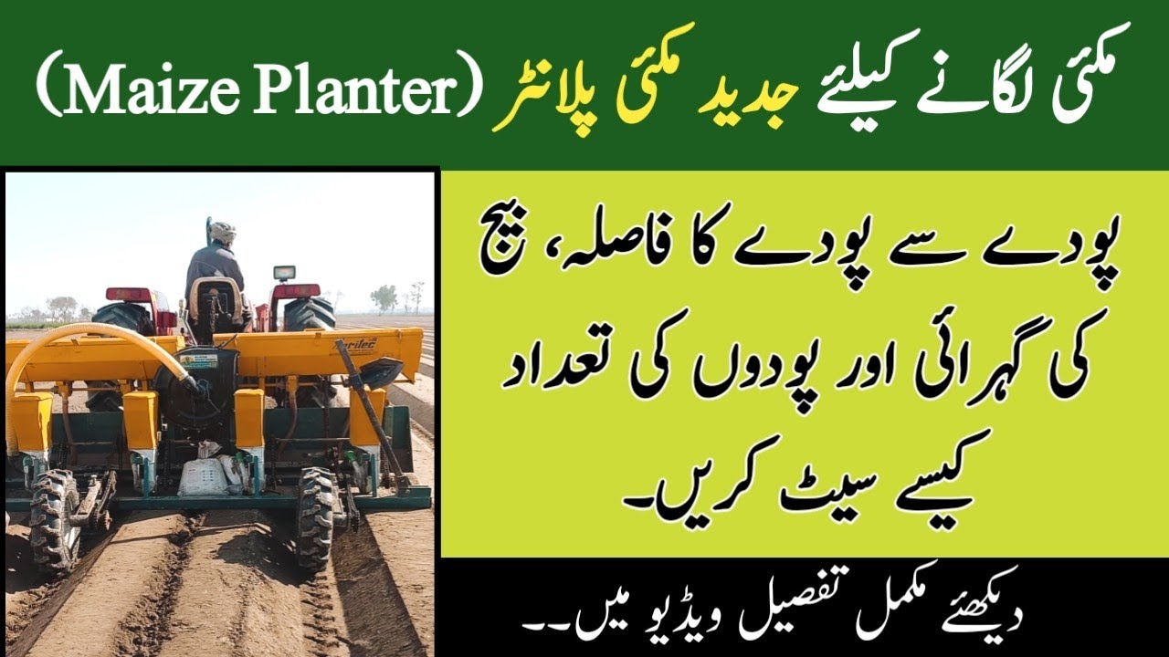 How to Plant Maize by Maize Planter | Complete Working Procedure of Maize Planter | Kissan Ki Baat