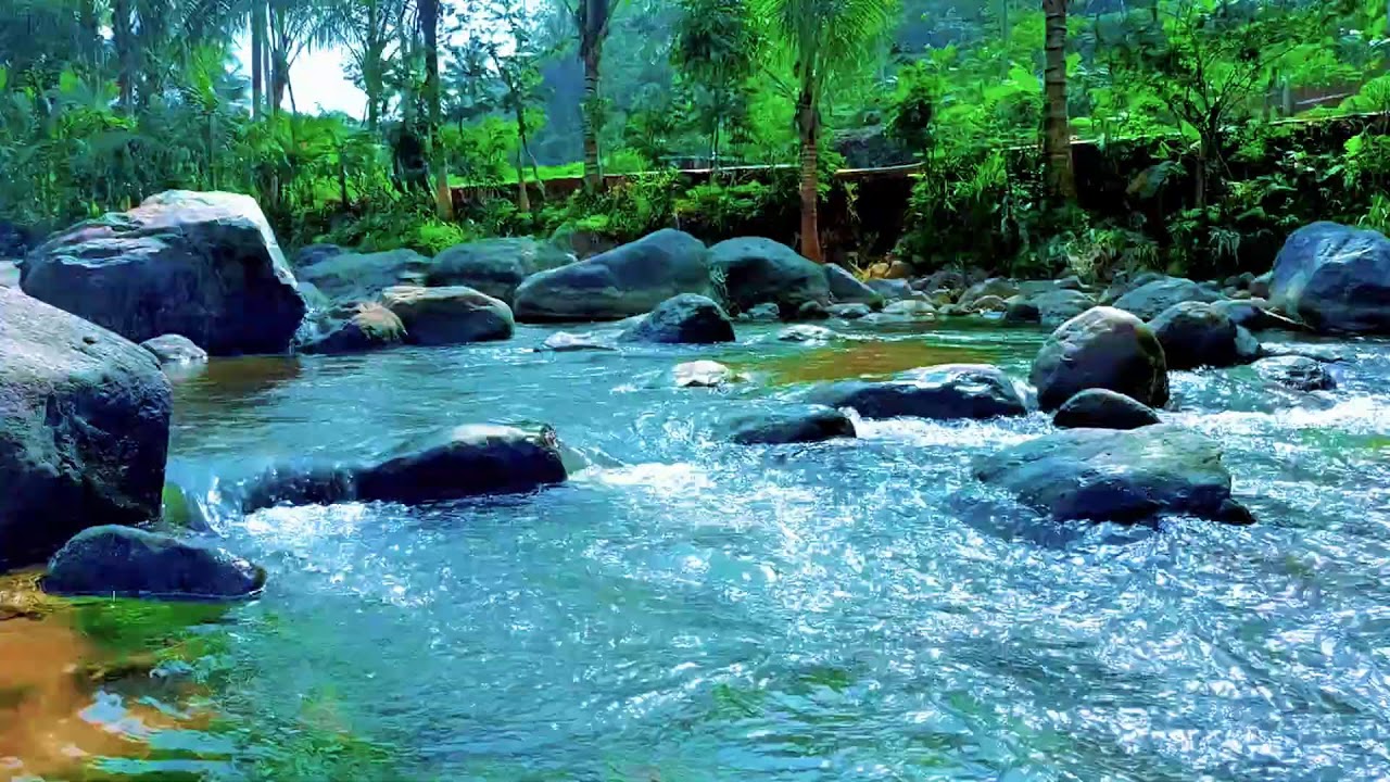 Relaxing River Water Soundscape for Meditation, Focus, and Restful Sleep