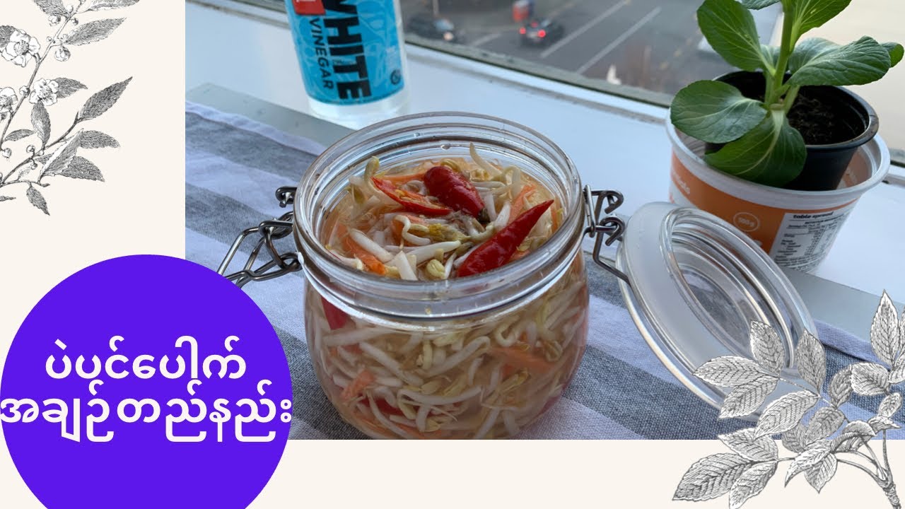 How to make Homemade Bean Sprout Pickle (ပဲပင်ပေါက် အချဉ်တည်နည်း)