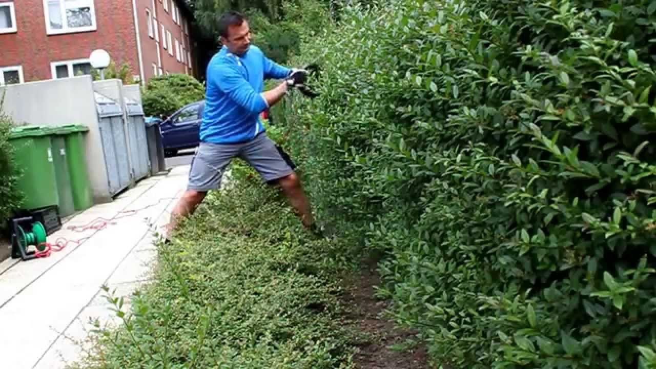 Heckeschneiden mit Richtschnur | Heckenschneiden | Heckenschere - NewWonder555