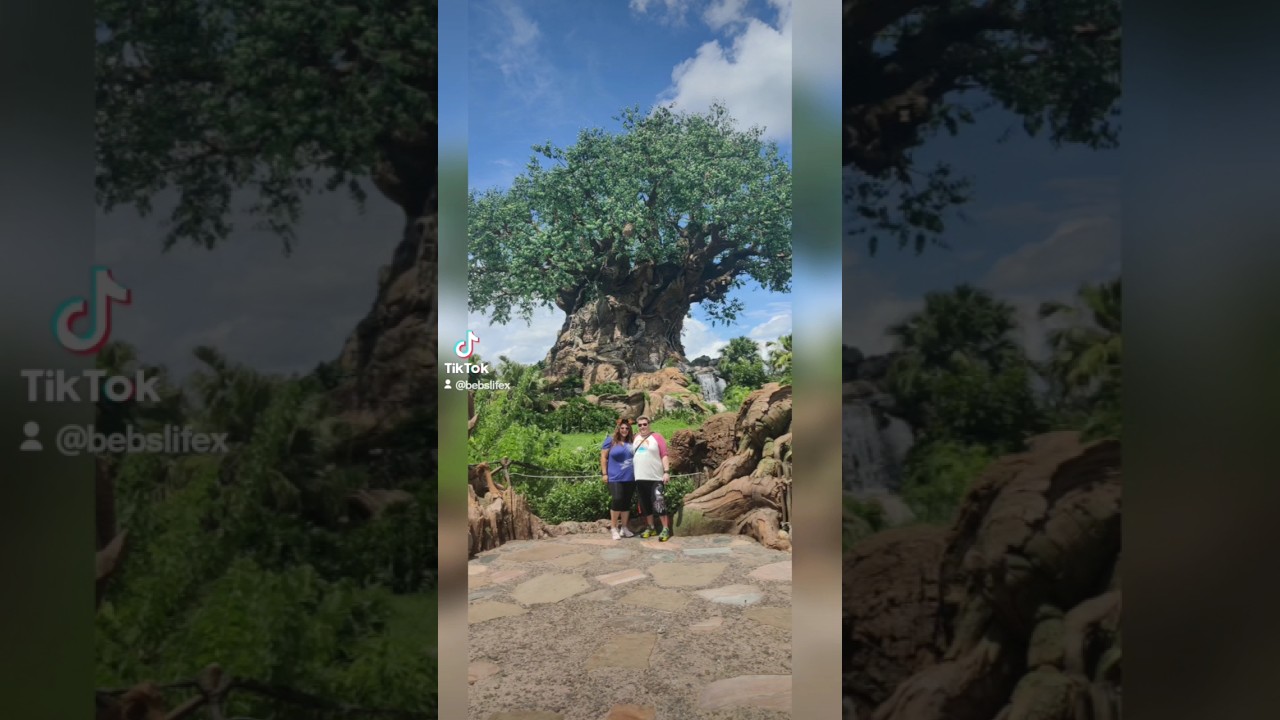 So many adventures! #disney #ghost #haunting #universal #paris #disneylandparis #adventure #partner